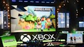 Students, activists, entertainers: Minecraft's global appeal