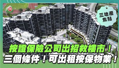 按證保險公司出招救樓市！三個條件可出租按保物業