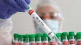 Drugmaker Sinergium to share bird flu vaccine data globally, says WHO