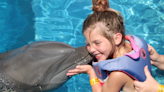 Bristol girl swims with dolphins thanks to Make-A-Wish