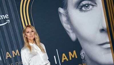Les fans de Céline Dion sont bouleversés par la souffrance de leur idole