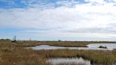 How climate change is impacting the Hudson Bay Lowlands — Canada's largest wetland