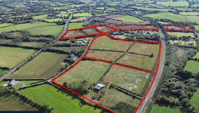 45-acre roadside holding in Wexford sells for an outstanding €1.2m at online auction