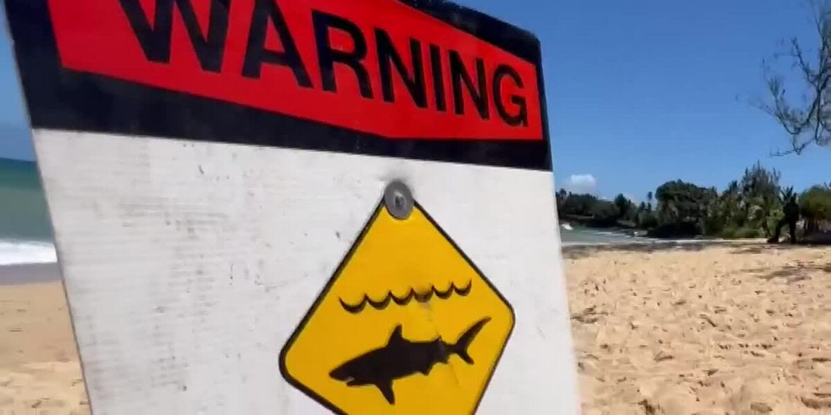 Shark warning signs posted at Makaha Beach after shark sighting