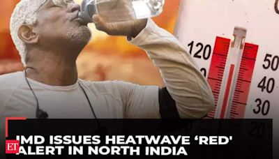 Delhi weather forecast: IMD issues heatwave ‘red' alert in North India