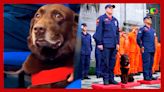 Cachorro que atuou em Brumadinho é homenageado ao se aposentar do Corpo de Bombeiros