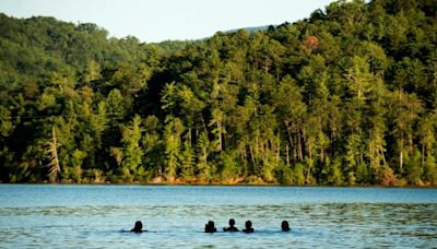 Thousands of acres of Michigan national forest are free to access this weekend