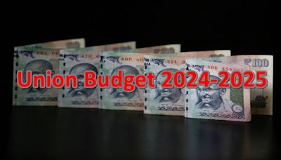 Union Budget 2024-2025 | Will the dream of the National Research Foundation turn into reality?