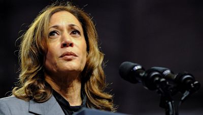 Gaza ceasefire deal: Harris says some progress made but is 'meaningless' unless...