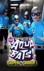 The Aquabats! Super Show!