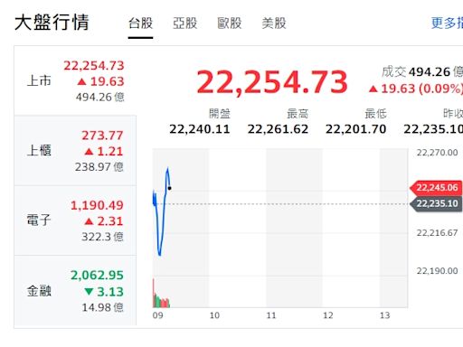 台股開盤》指數小跌小漲 分析師：若失守22230點 恐引發殺低取量