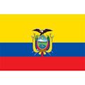 Ecuador national football team