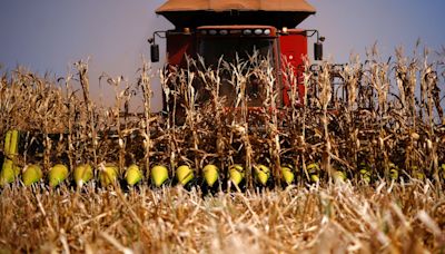 Comment: How to boost Brazil’s agriculture sector and protect the Cerrado