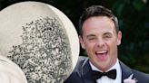 Ant McPartlin reassures fans over tattoo after welcoming baby son Wilder