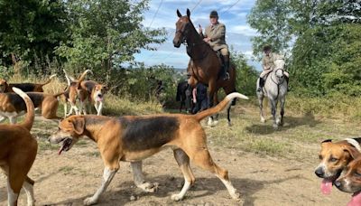 Trail hunters hold open days as ban looms