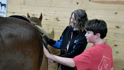 Stirrup Courage combines owner's passion, expertise for unique therapeutic experience