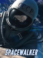 Spacewalker