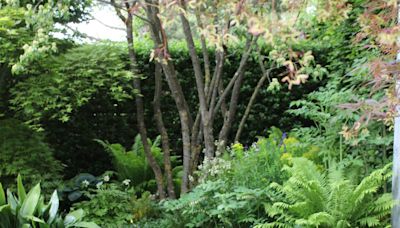 How to make your own garden water feature to turn your outdoor space into a soothing oasis