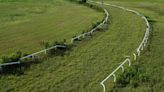 Horse lovers trying to save racetrack at Horizon Farm Forest Preserve, while bird and nature lovers question the impact