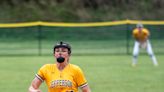 Softball: These Morris/Sussex teams are still alive in the state playoffs