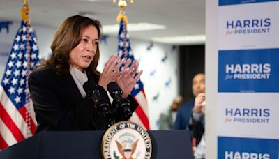 A Zoom call of 44,000 Black women raised $1.5 million for Kamala Harris in 3 hours: ‘We were ready’