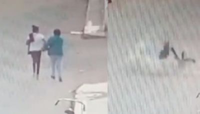 Video: ¡Miedo desbloqueado! Perros 'correcaminos' atropellan a dos mujeres en la calle