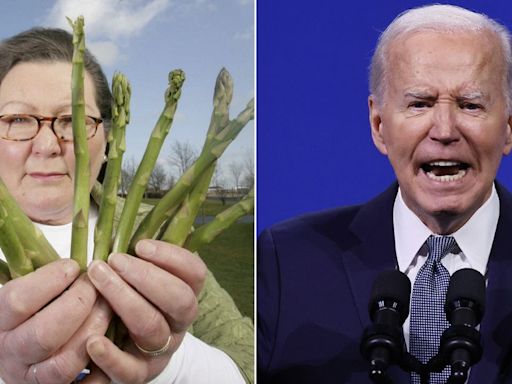 Asparagus fortune teller bounces back from Euros error with Joe Biden prediction