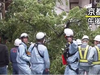日本京都清水寺附近景點產寧坂傳意外 櫻花樹倒下壓傷62歲翁