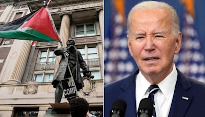 GOP Rep calls on Biden to denounce, reject cash from progressive groups fueling anti-Israel protests