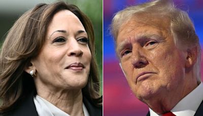 Présidentielle américaine : Kamala Harris contre Donald Trump, ce que disent les sondages à 100 jours du vote