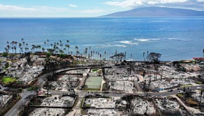 Maui Wildfire Survivors Were Re-Traumatized By Poor Disaster Response, Survey Says