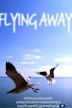 Flying Away | Romance