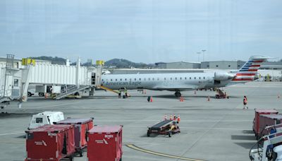 Possible bird strike diverts American Airlines flight, plane lands safely in Baltimore