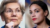 Elizabeth Warren tried to convince AOC not to endorse Bernie Sanders in 2020 by compiling top Sanders backers' mean tweets: book