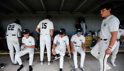 Willard baseball in Class 5 semifinals: What to know about Tigers' state appearance