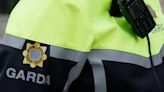 More than 40 Garda members convicted or given probation over last decade