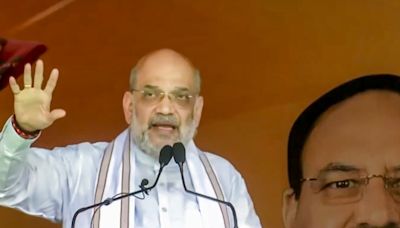 J-K Polls: 'No stone pelter will be released', BJP needed to teach Pak 'a lesson'; Amit Shah at Jammu rally