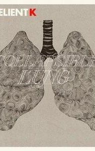 Collapsible Lung