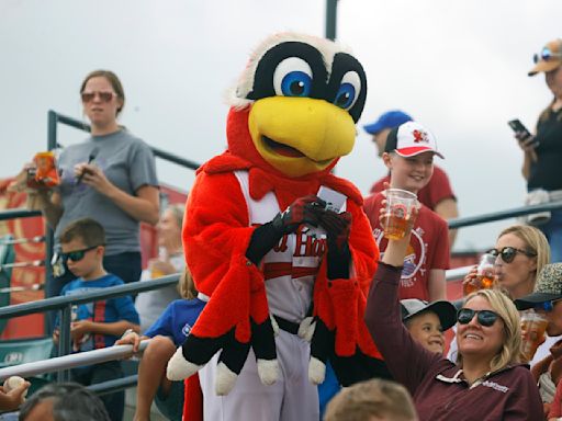 A fan's guide to RedHawks game promotions that include ninja turtles, pickleball paddles, Santa Claus