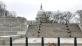 A Mother Fox Is Captured at U.S. Capitol After Running Amok, Nipping Lawmaker: 'Most Bizarre Day'