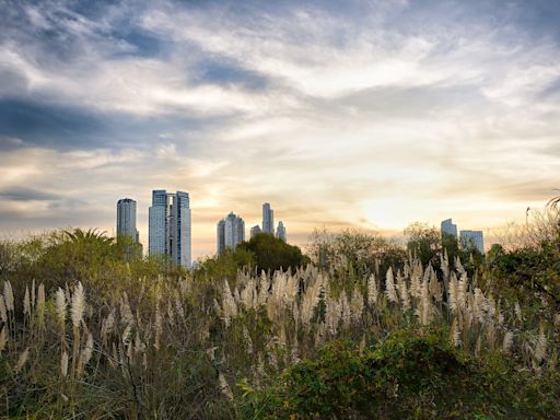 Día del Medio Ambiente: ¿cuáles son los objetivos de la jornada?