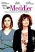 The Meddler