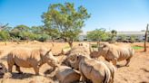 連假出遊首選！暢玩六福村通通學童價，「動物園自駕遊」夢回80年代！