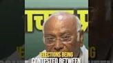 'Elections Being Contested Between Indian Citizens & BJP' Kharge On LS Polls
