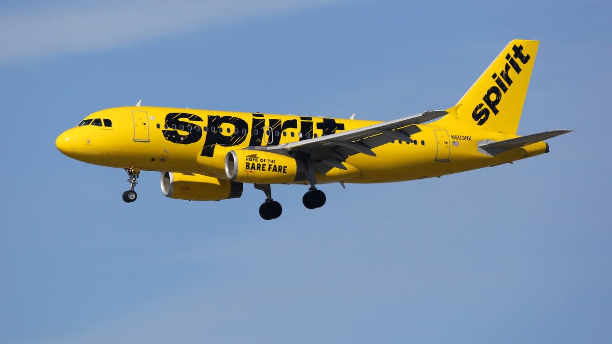 Spirit Airlines passengers brawl onboard plane as flight attendant attempts to intervene: 'Throwing it down'