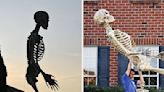 Show Us How You're Decorating With The 12-Foot Home Depot Skeleton This Year