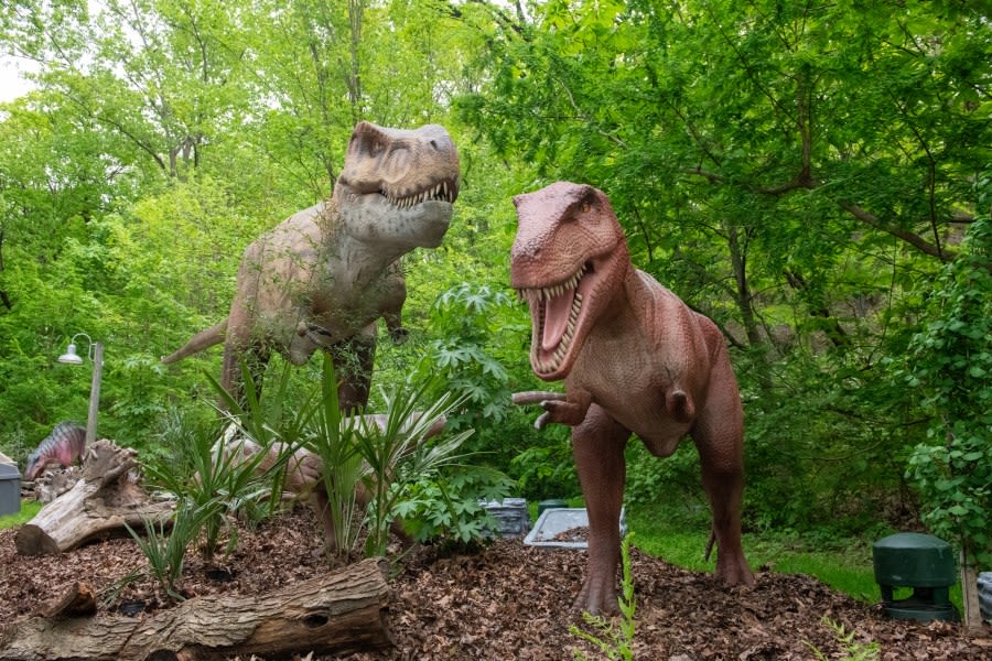 Dinosaurs at the Cleveland Zoo?!