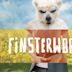 Finsterworld