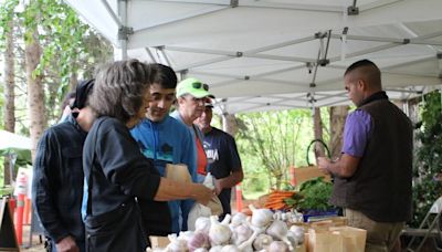 Annual garlic festival returns to Richmond in August