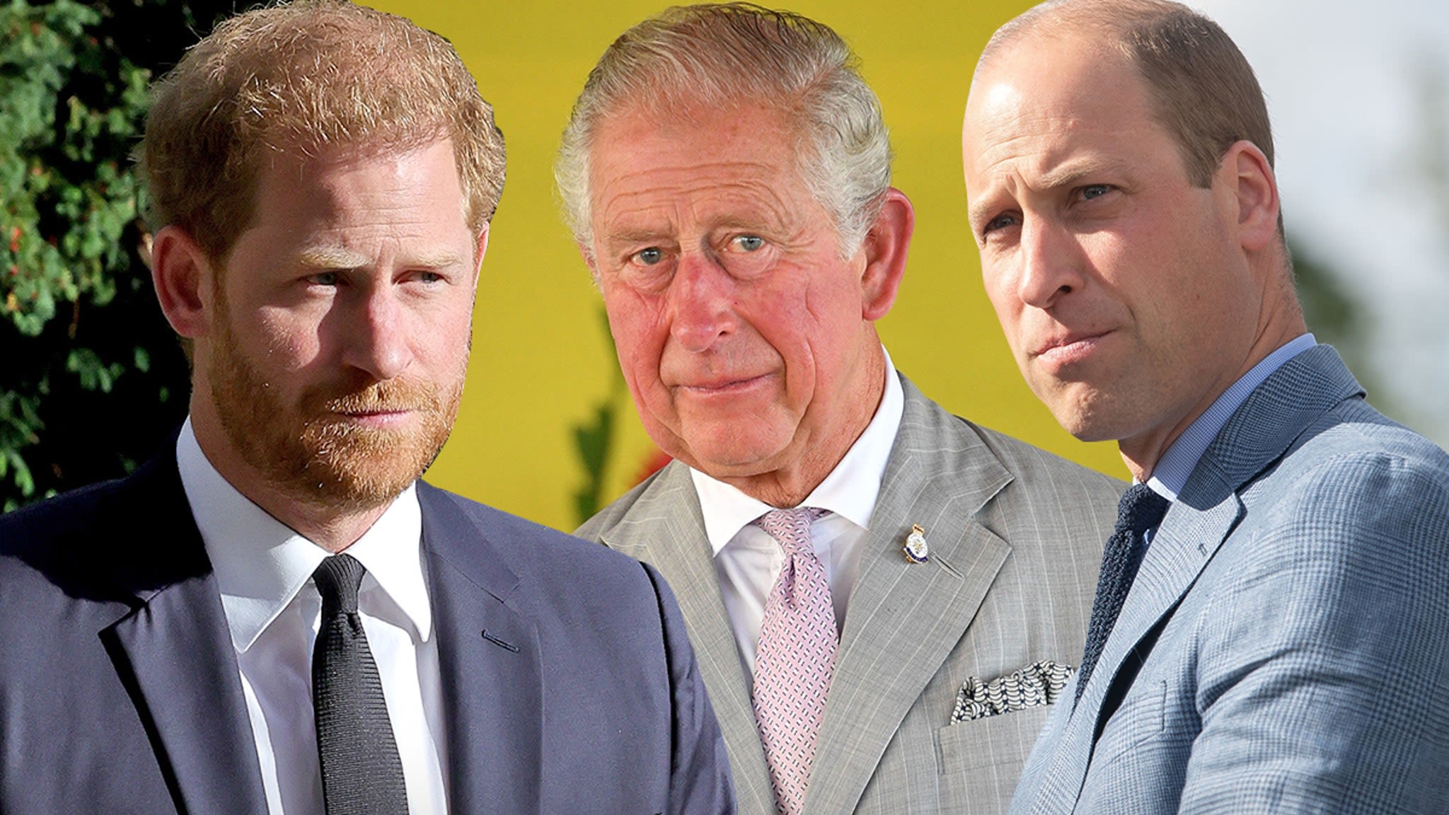 Prince Harry Says Tabloids Are 'Central Piece' in Royal Family Feud